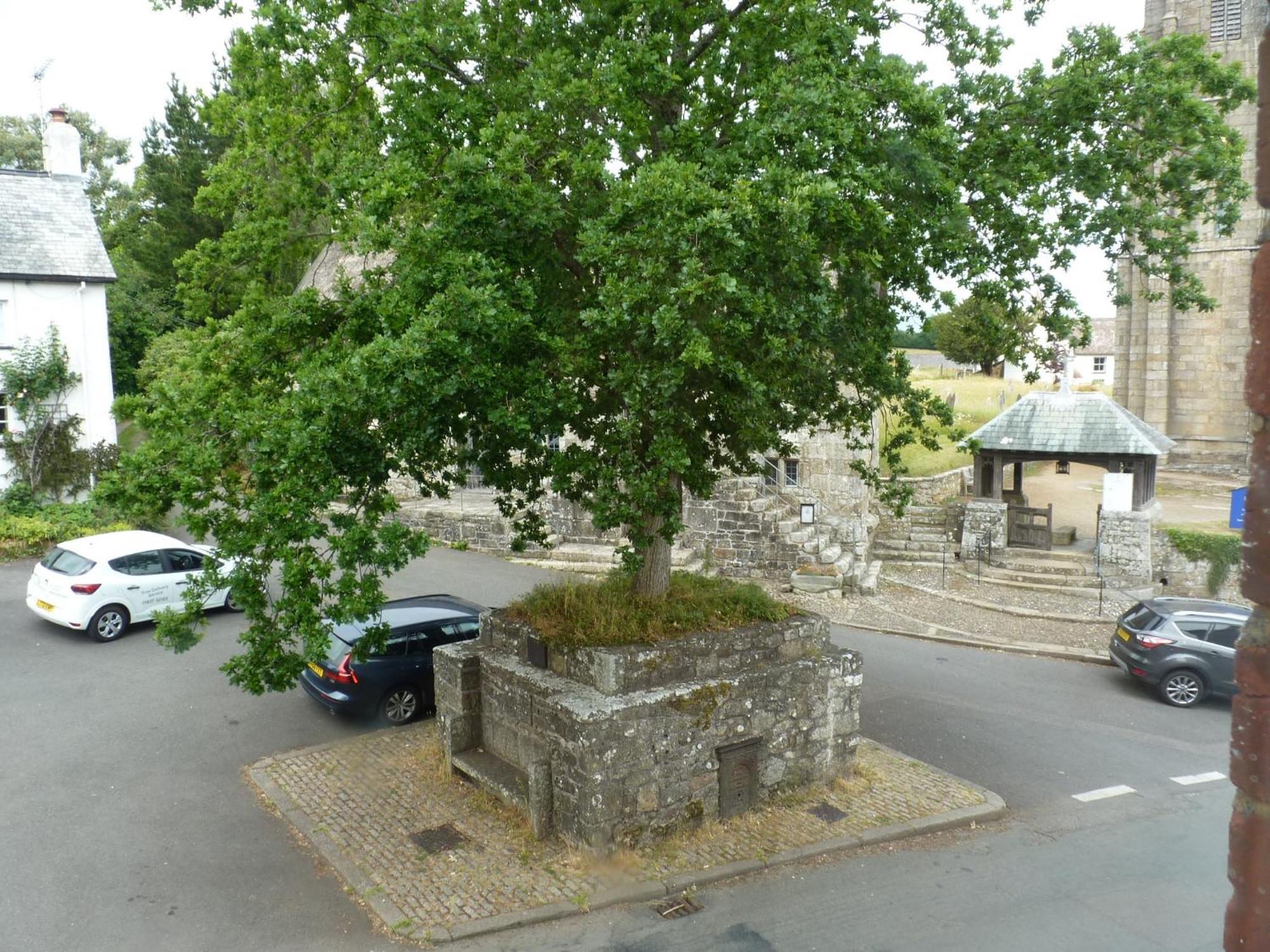 Seven Stars - Bed & Breakfast & Restaurant Okehampton Bagian luar foto